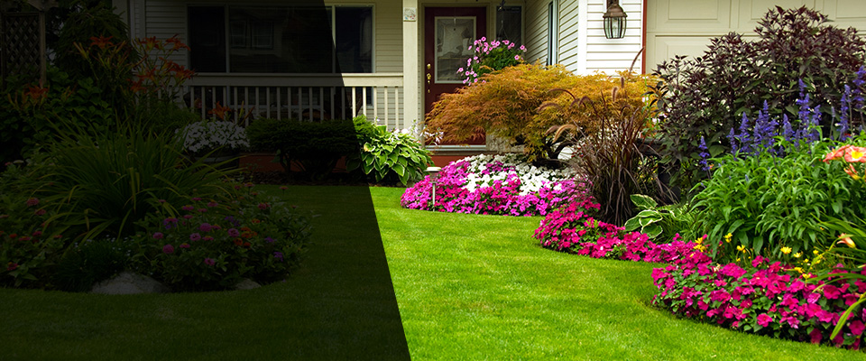 Mattapoisett Landscapers
