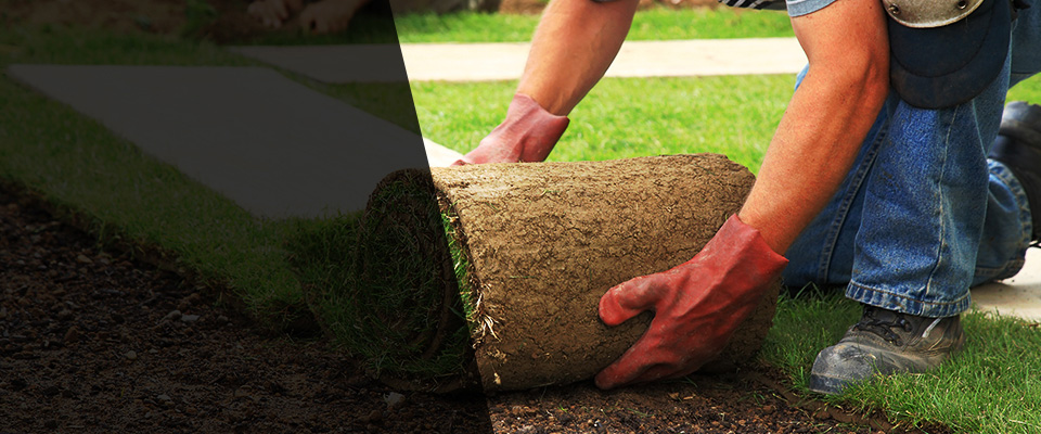 Mattapoisett Landscapers